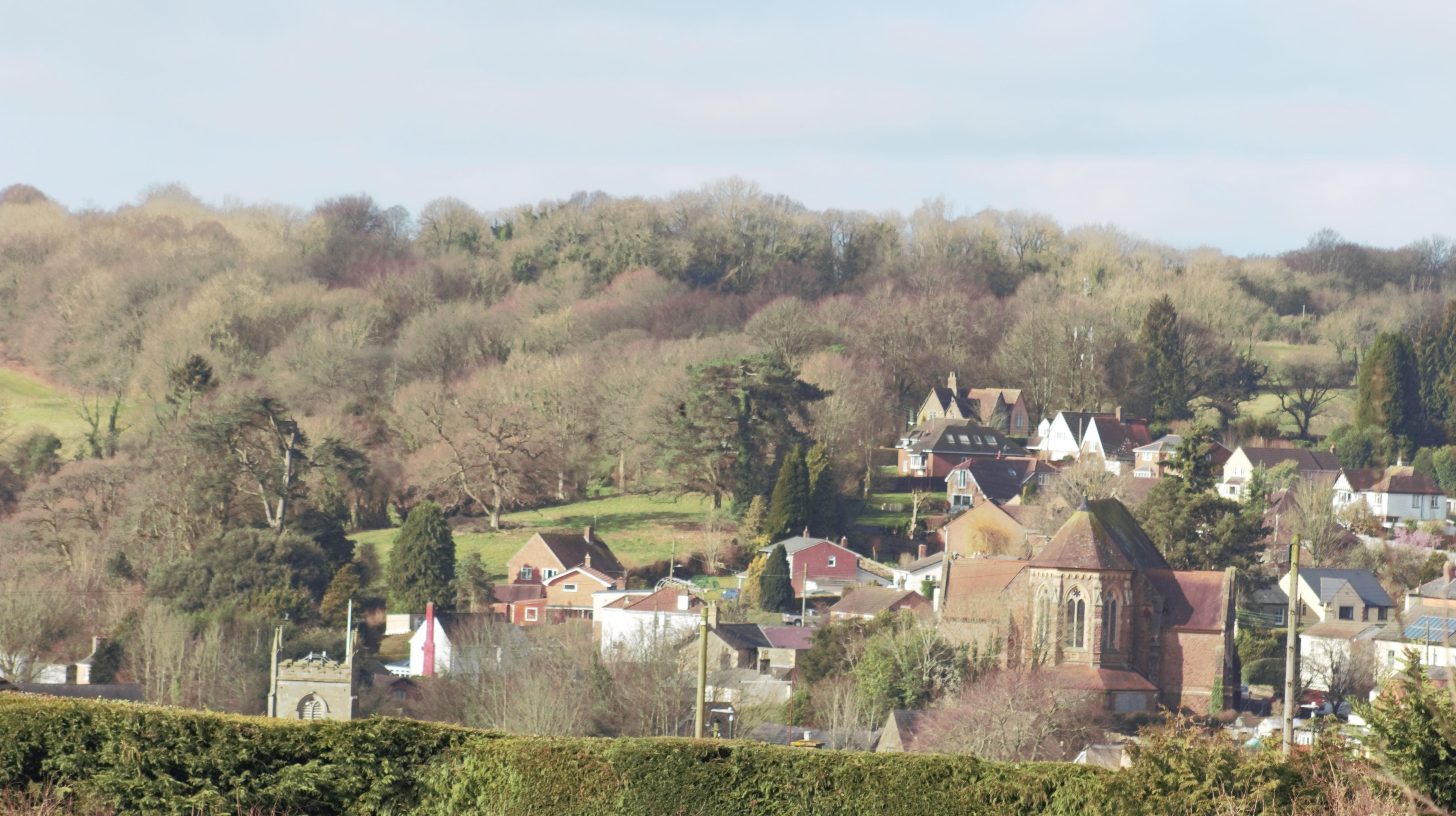 Coleford from Bells Field 12 3